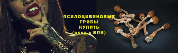 твердый Сосновый Бор